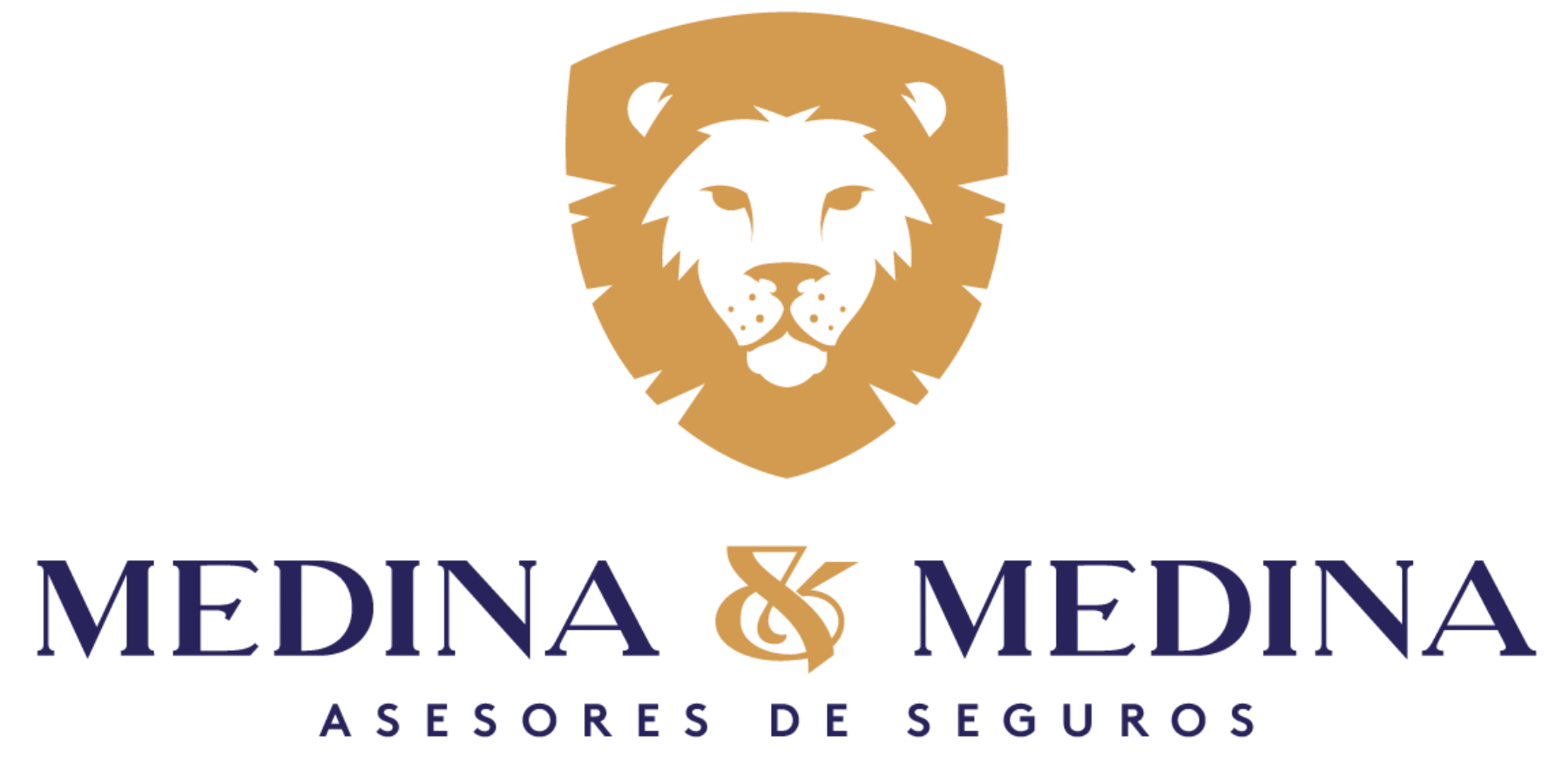 Grupo Medina y Medina | Asesores de Seguros