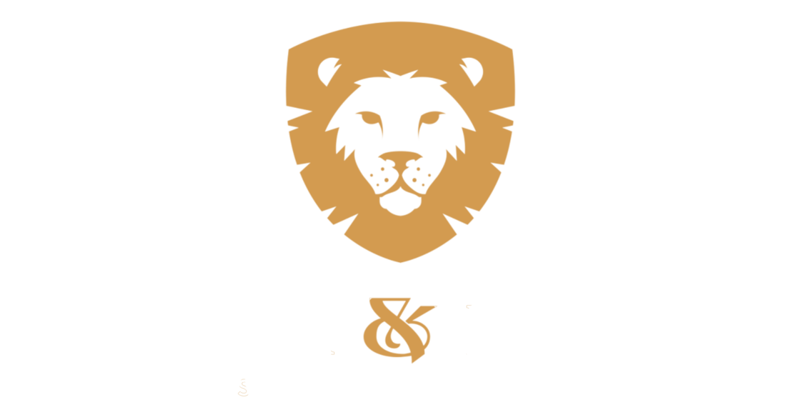 Grupo Medina y Medina | Asesores de Seguros